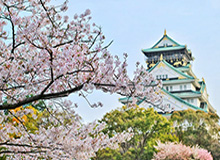 爱游戏登录入口-京沪战国安遭遇FIFA病毒 申花为足协杯选择留力？